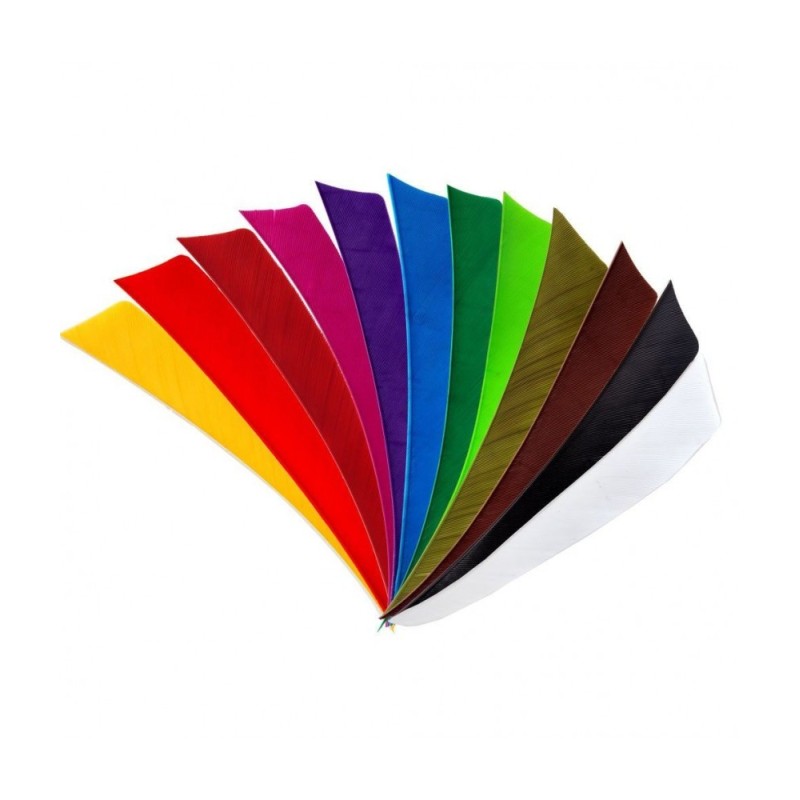 Plumes naturelles shield 4" unies Bearpaw