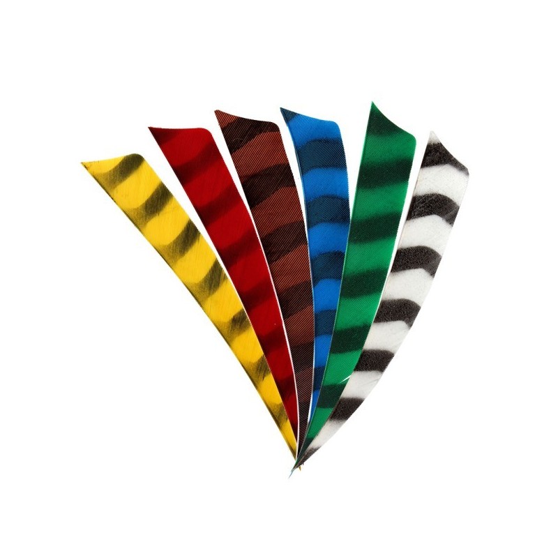 Plumes naturelles 3" barrées Shield Bearpaw