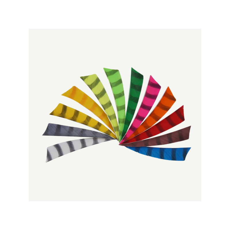 Plumes naturelles 4" shield barrées  bearpaw