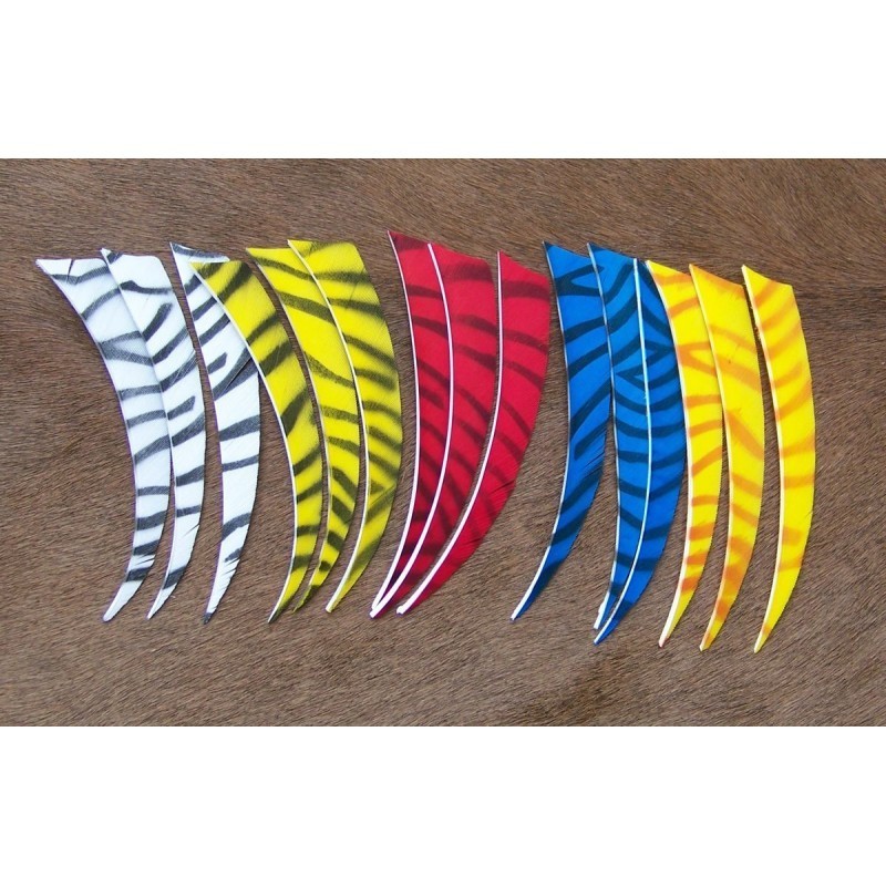 Plumes 5" shield zébrées  bearpaw