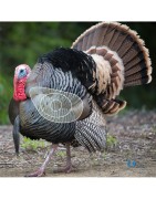 BLASONS mousse Italospanso